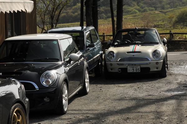 426 550 27 DSC_1615.jpg